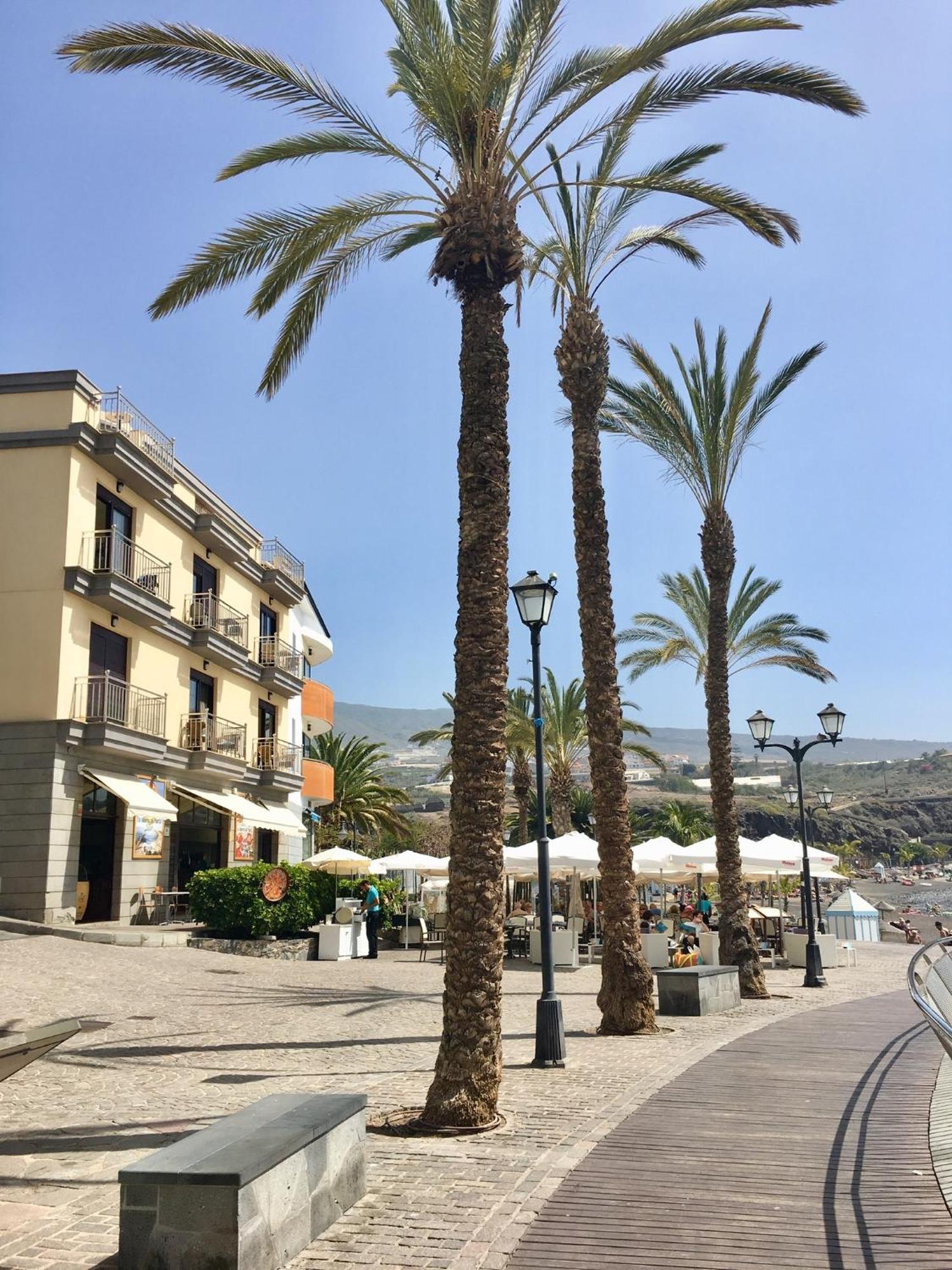 Number 5 At The Marina, Playa San Juan, South Tenerife エクステリア 写真